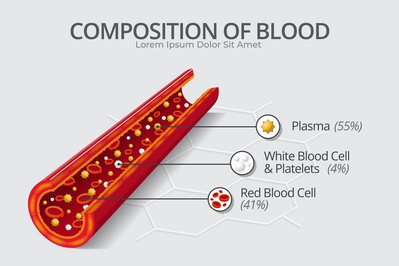 Blood Details: Unveiling the Intricacies of Vital Life Fluid